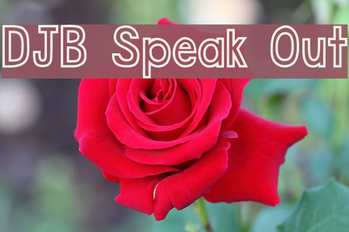 DJB Speak Out Font examples