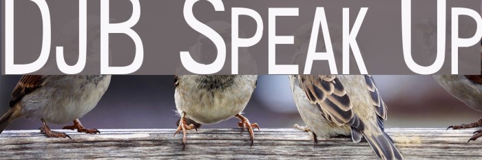 DJB Speak Up Example 2