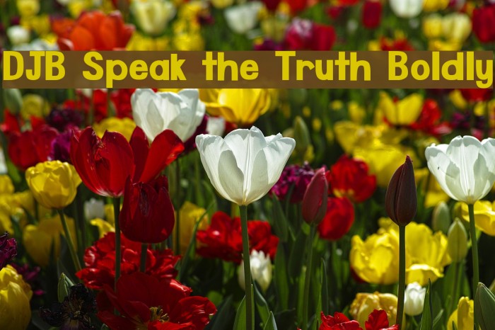 DJB Speak the Truth Boldly Font examples