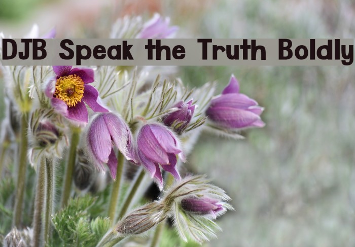 DJB Speak the Truth Boldly Font examples