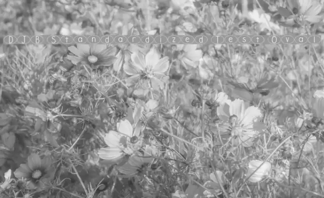 DJB Standardized Test Oval Font examples