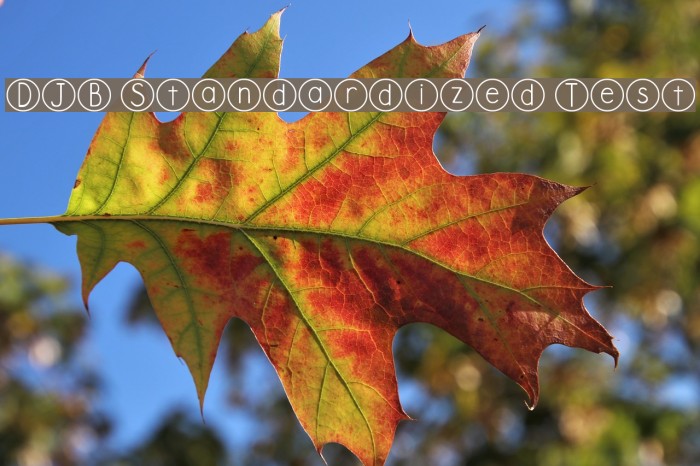 DJB Standardized Test Example 3