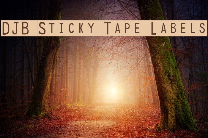 DJB Sticky Tape Labels Font examples