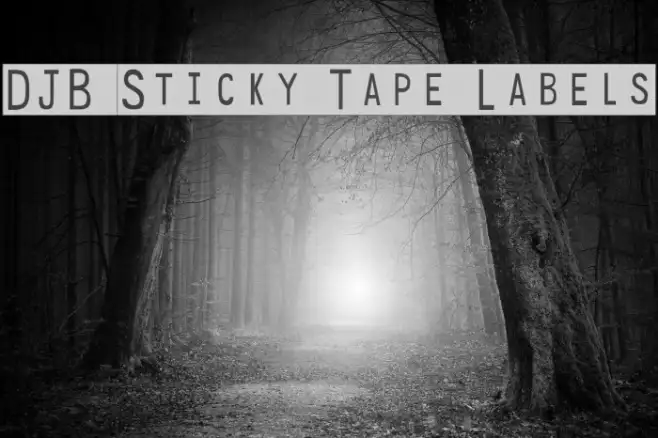 DJB Sticky Tape Labels Example 3