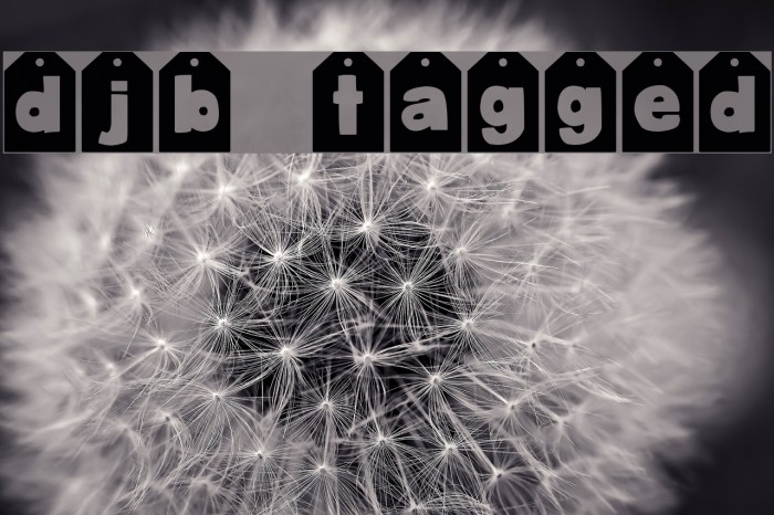 DJB TAGGED Example 1