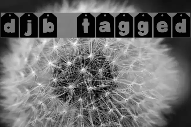 DJB TAGGED Font examples
