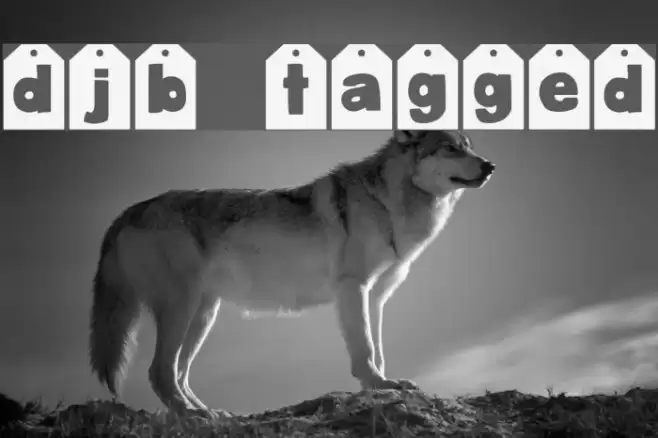 DJB TAGGED Font examples