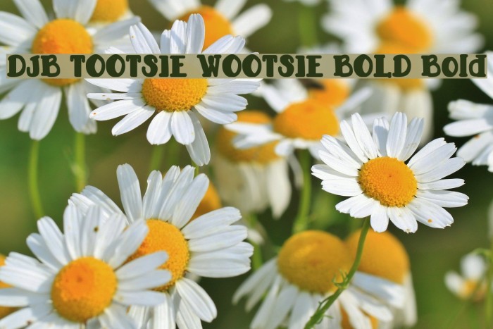 DJB TOOTSIE WOOTSIE BOLD Bold Font examples