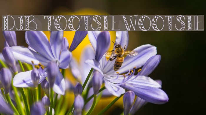 DJB TOOTSIEWOOTSIE Font examples