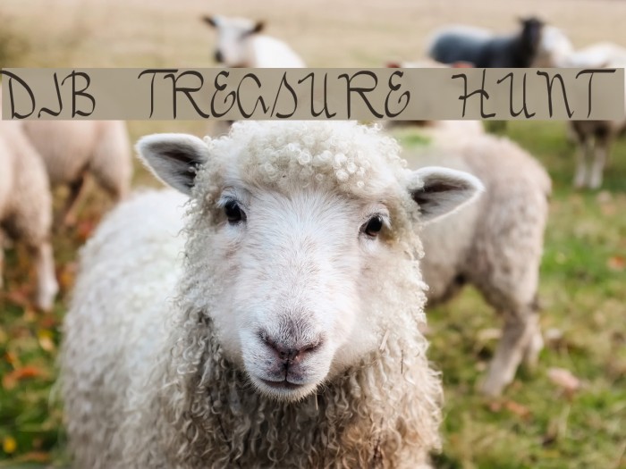 DJB TREASURE HUNT Font examples