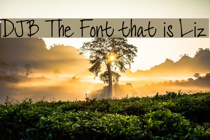 DJB The Font that is Liz Font examples