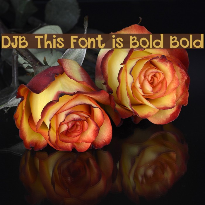 DJB This Font is Bold Bold Font examples