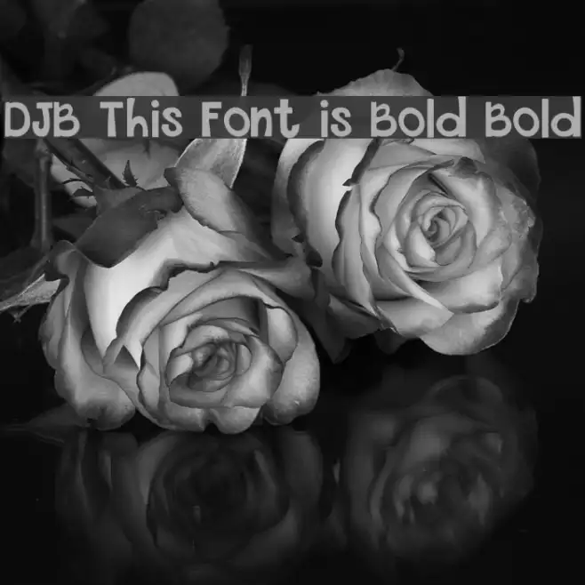 DJB This Font is Bold Bold Example 3