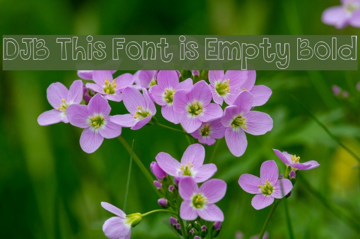 DJB This Font is Empty Bold Example 1