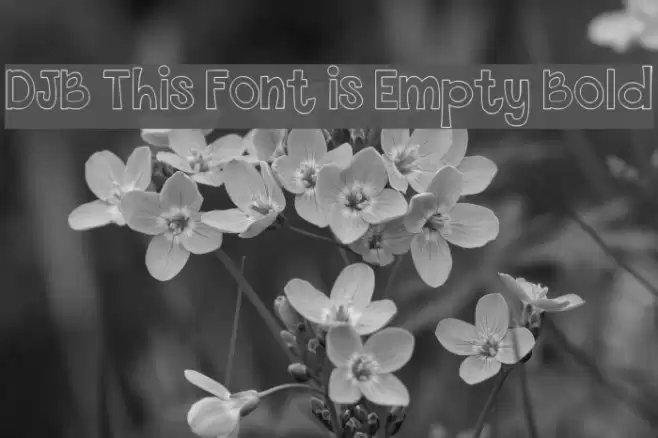 DJB This Font is Empty Bold Font examples