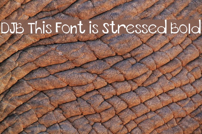 DJB This Font is Stressed Bold Example 2