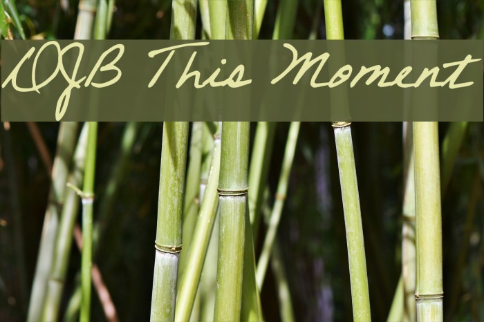 DJB This Moment Font examples