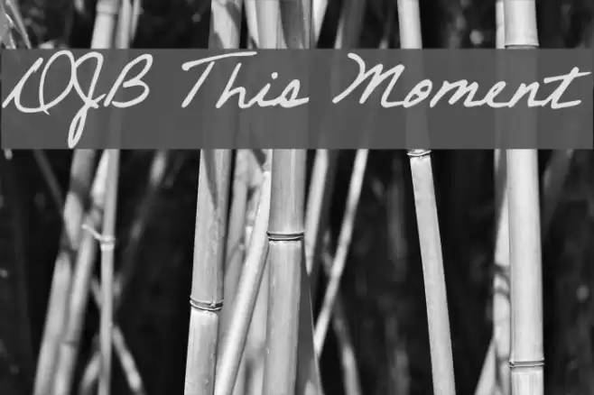 DJB This Moment Font examples