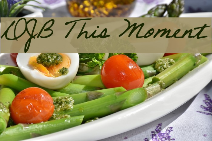 DJB This Moment Font examples