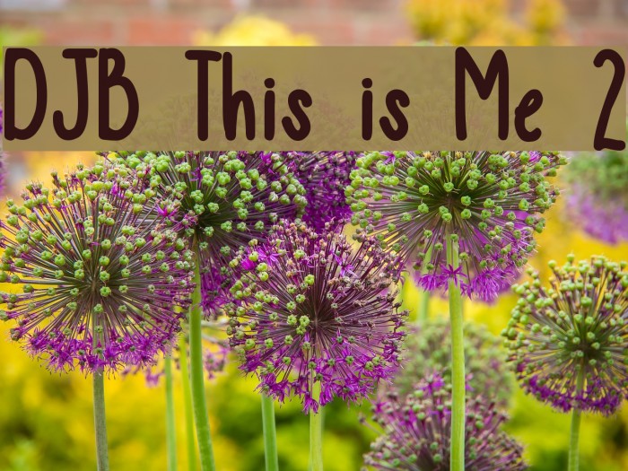 DJB This is Me 2 Font examples
