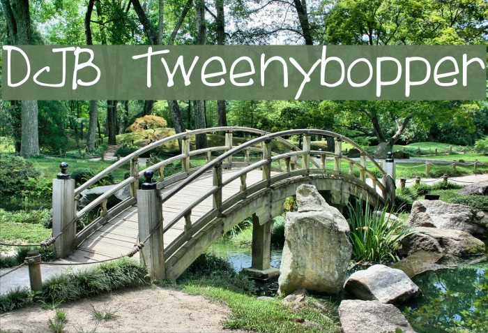 DJB Tweenybopper Font examples