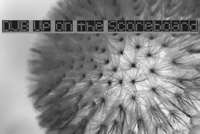 DJB Up on the Scoreboard Polices examples