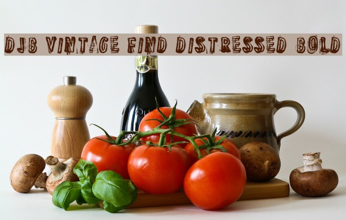 DJB Vintage Find Distressed Bold Font examples