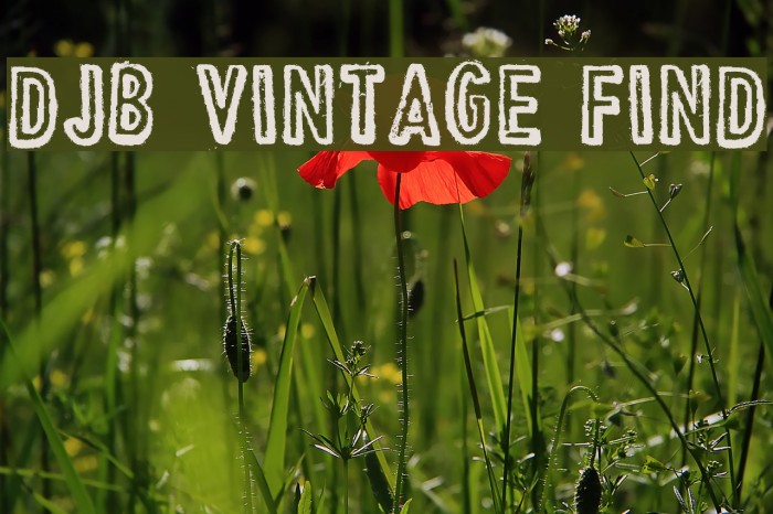 DJB Vintage Find Font examples