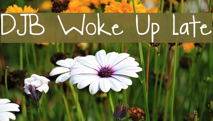 DJB Woke Up Late Font examples