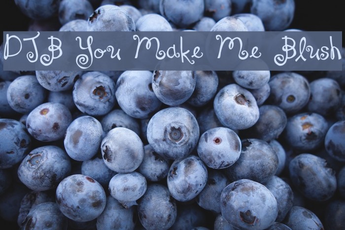 DJB You Make Me Blush Font examples