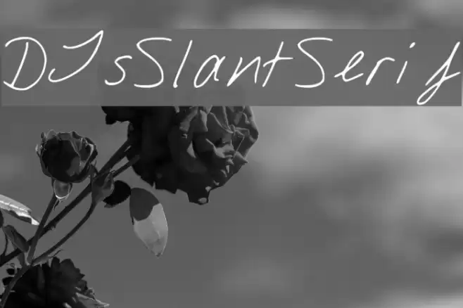 DJsSlantSerif Font examples