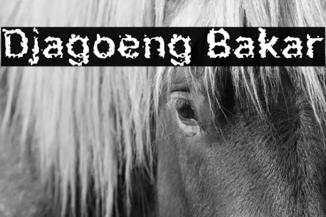 Djagoeng Bakar Example 1