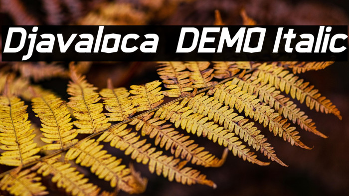 Djavaloca - DEMO Italic Example 3