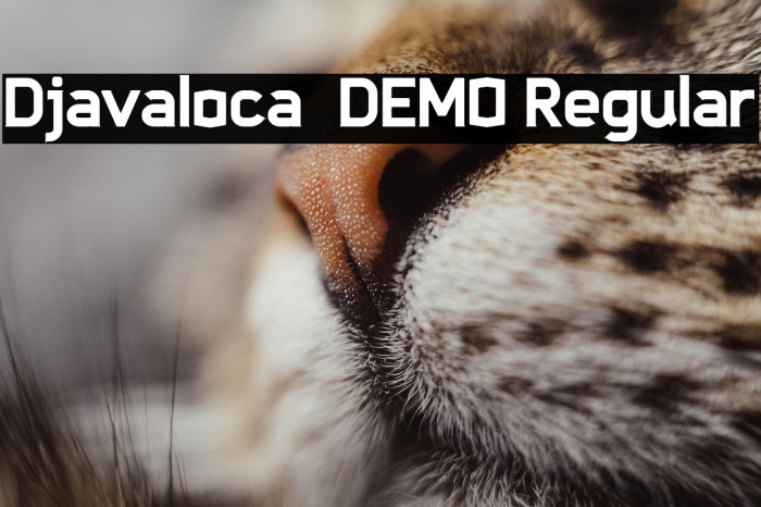 Djavaloca - DEMO Regular Example 3