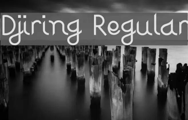Djiring Regular Example 3