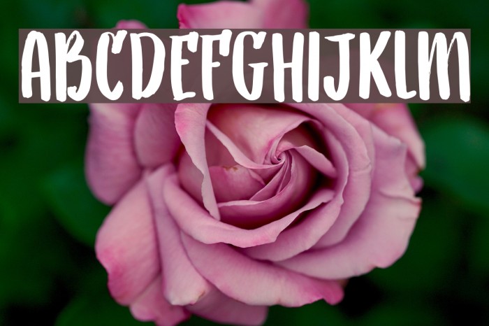 DK Aiguille Regular Font examples