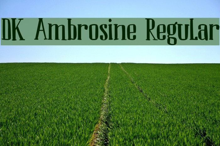 DK Ambrosine Regular Font examples