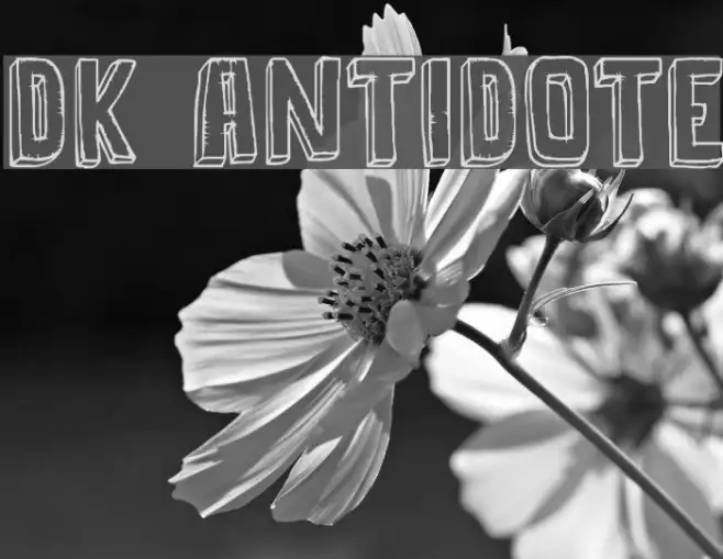 DK Antidote Example 3