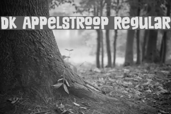 DK Appelstroop Regular Font examples