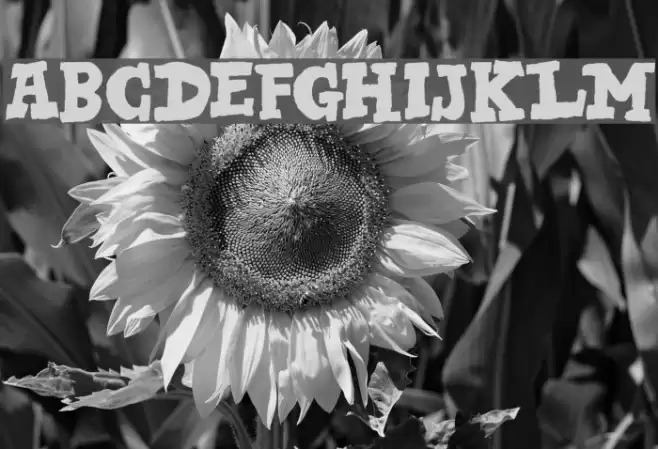 DK Bad Medicine Regular Font examples