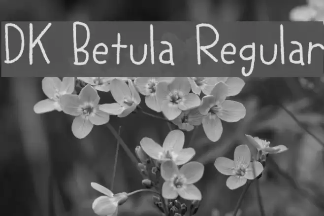 DK Betula Regular Font examples