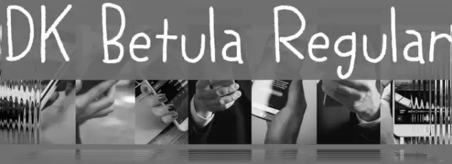 DK Betula Regular Font examples