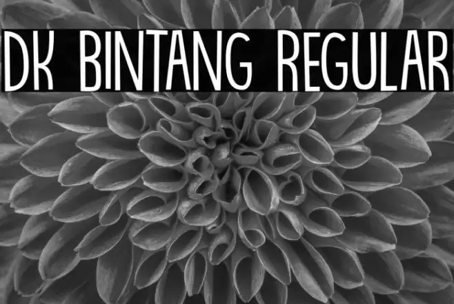 DK Bintang Regular خط examples