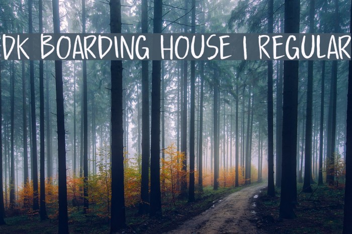 DK Boarding House I Regular Font examples