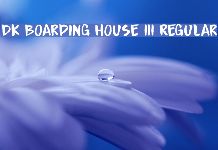 DK Boarding House III Regular Font examples