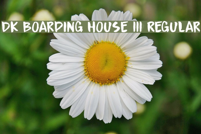 DK Boarding House III Regular Font examples