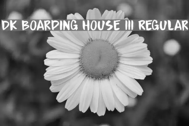 DK Boarding House III Regular Polices examples