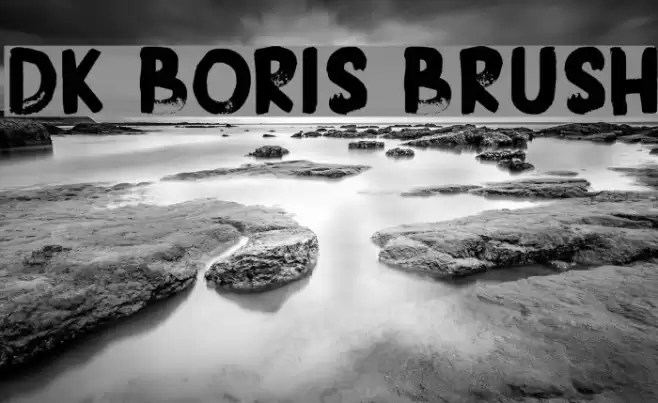 DK Boris Brush Font examples