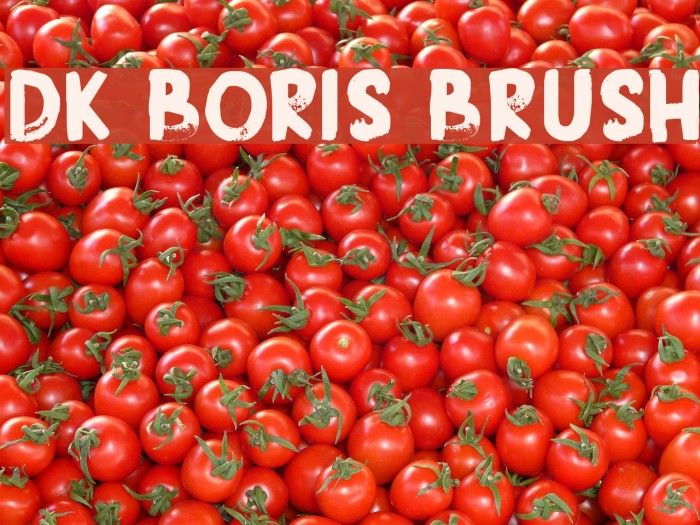 DK Boris Brush Font examples