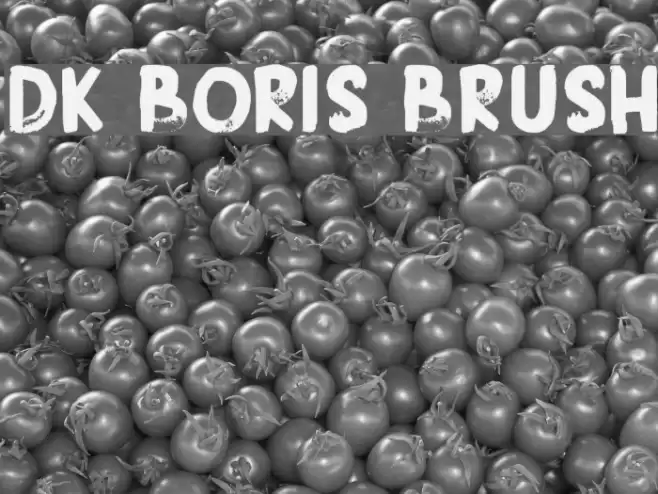 DK Boris Brush Font examples